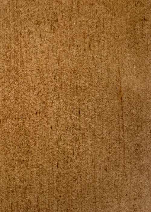 Maple